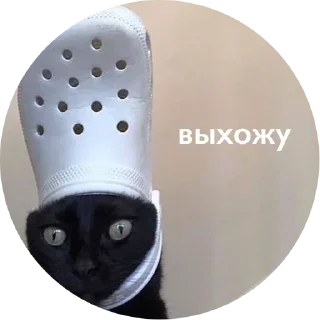 💃