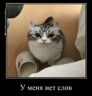 😶