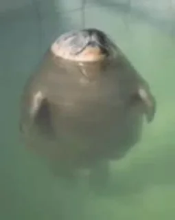 😌