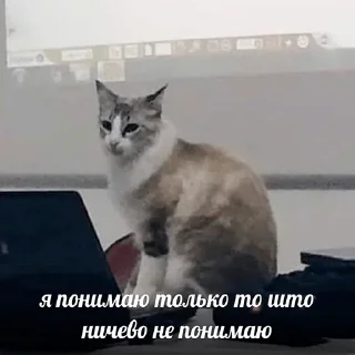 😢