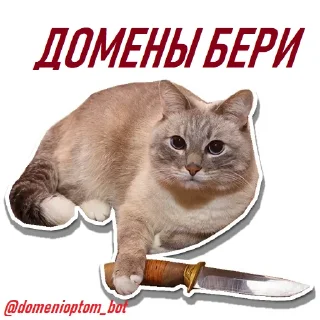 👊