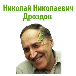 Animalist @stickersb2b