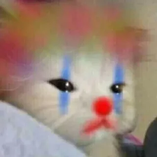 🥺