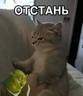 😒