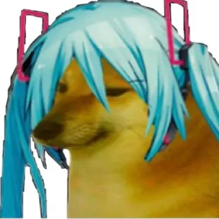 🐶