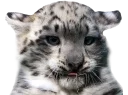 😛