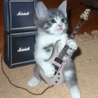 🎸