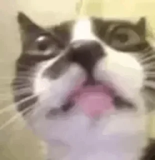 😐