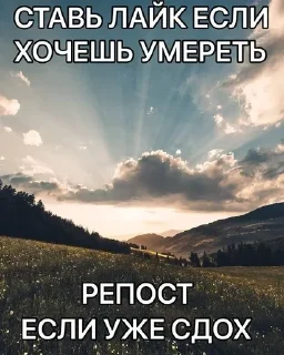 🧂