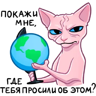🌏