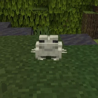 🐸