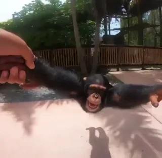 😆
