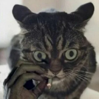 😐