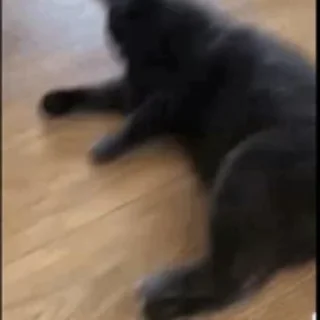 🦶