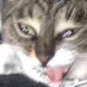 😋