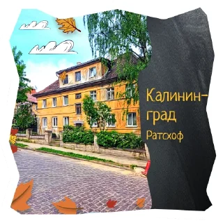 🏡