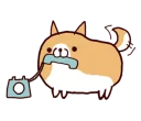 🐶