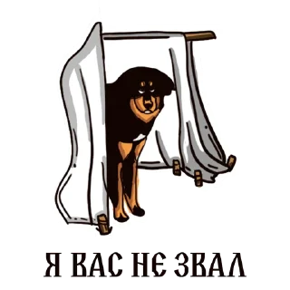 🐶