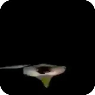 💀