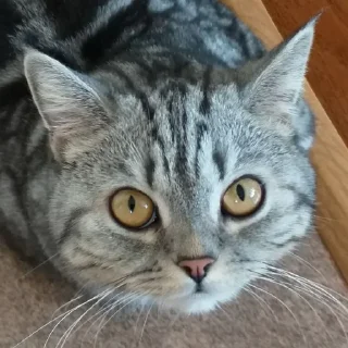 😐