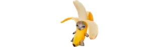 🍌