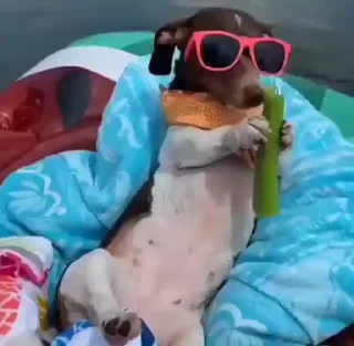 😎