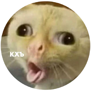 🤧