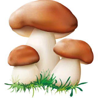 🍄