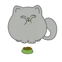 🍪