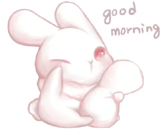 🐰