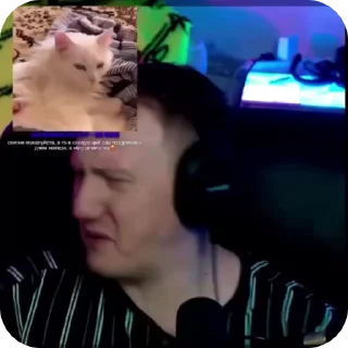 🌟
