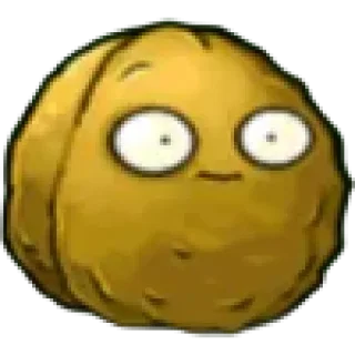 🌰