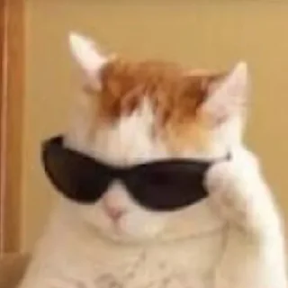 😎