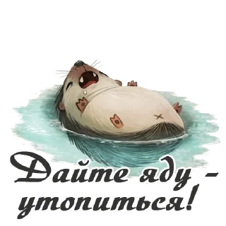 🌊