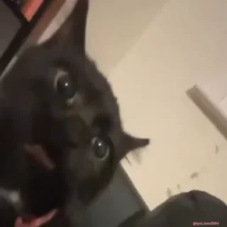 😧