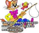 🐱