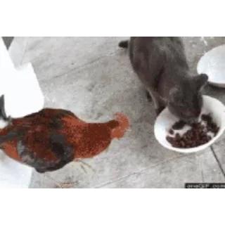 🐔