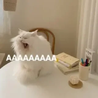 😄