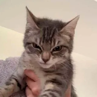 😈
