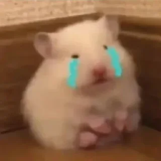 😂