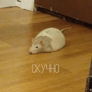 😒