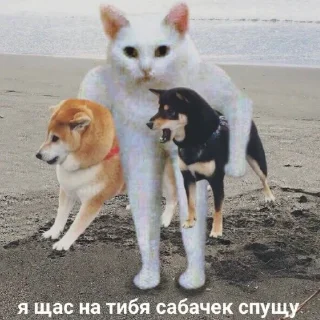 🗿
