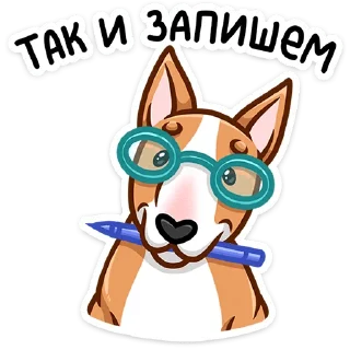 😎