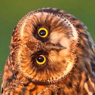 🙃