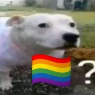 🏳️‍🌈