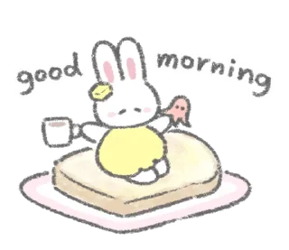 🐰