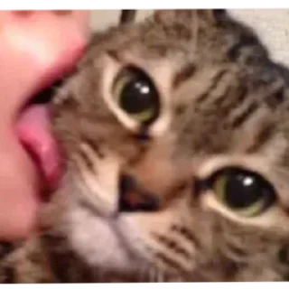 😄