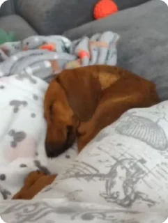 🛌