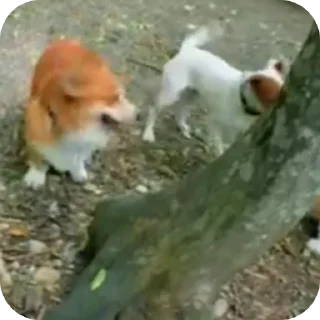 👍