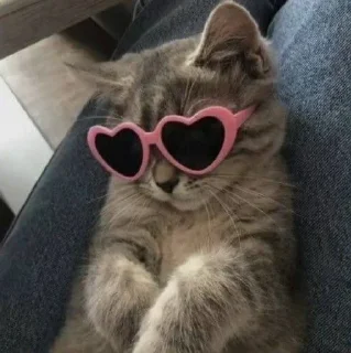 😎